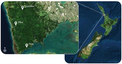 The threat of a major tree pathogen to forest soil mesofauna food webs and ecosystem functioning